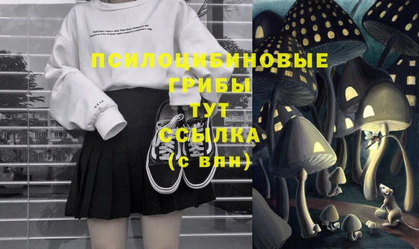apvp Арсеньев