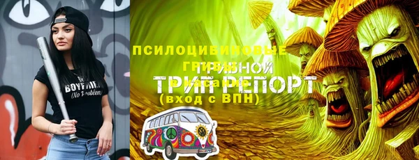 apvp Арсеньев