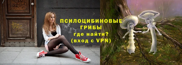 твердый Армянск
