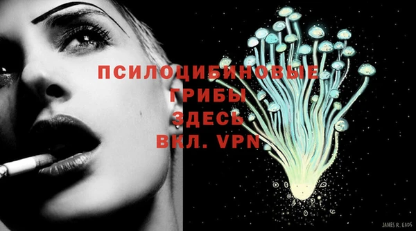 apvp Арсеньев