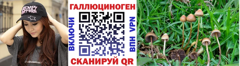 Псилоцибиновые грибы GOLDEN TEACHER  Первоуральск 